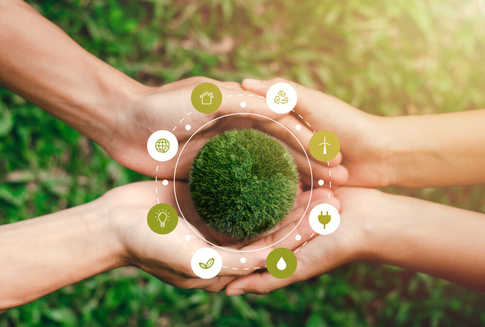 Sustainability