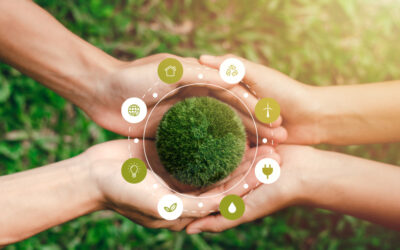 Sustainability